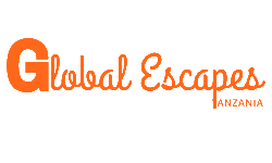 Our logo